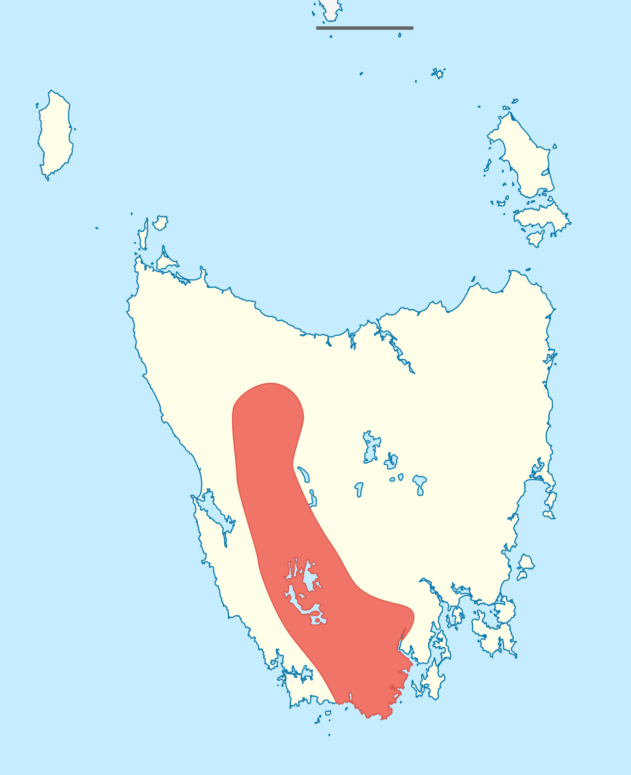 Anisotome procumbens