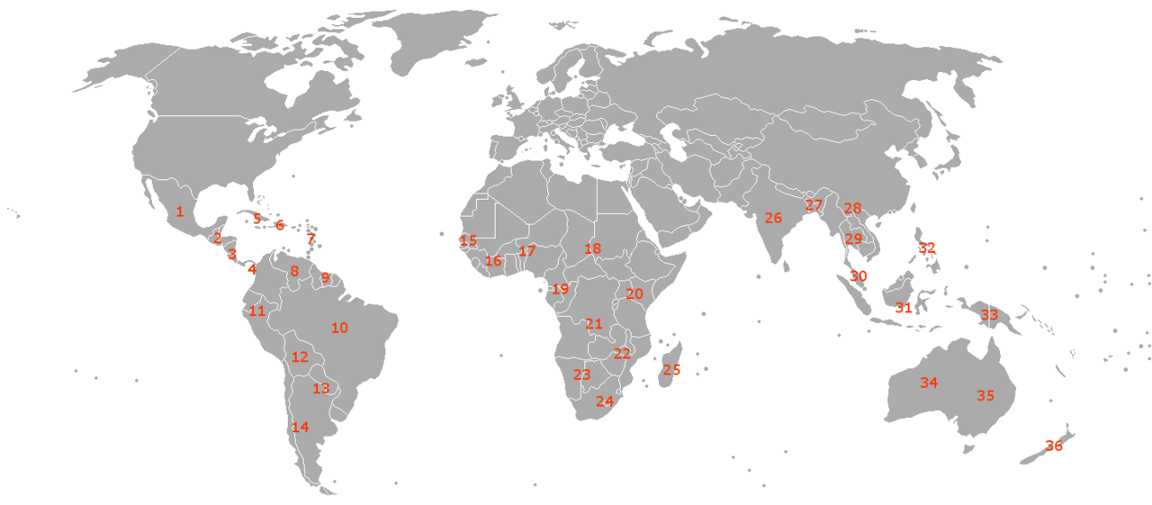 Artocarpus madagascariensis