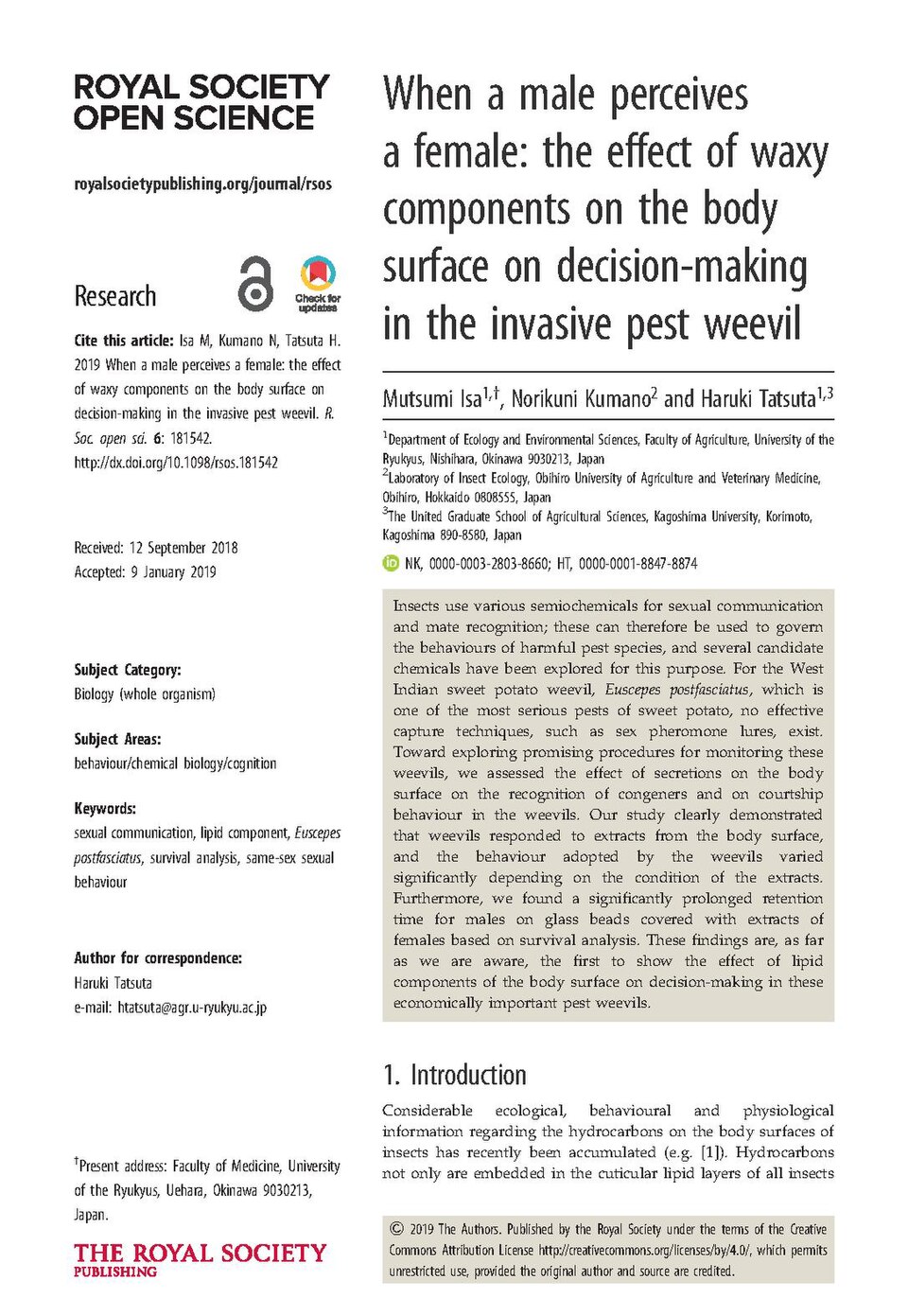 Ipomoea simulans