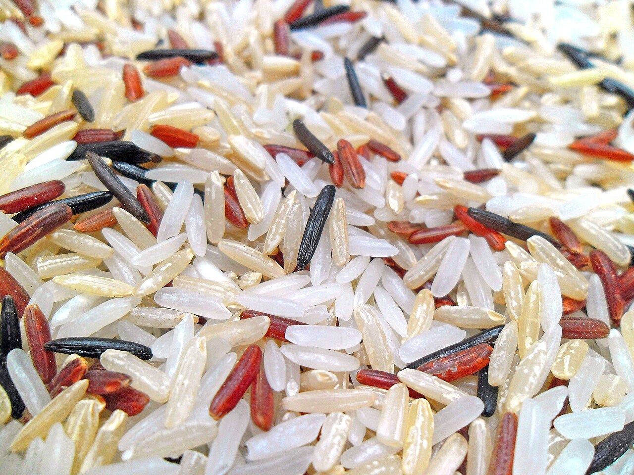 Gạo lứt